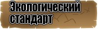 Толстовки женские с принтом